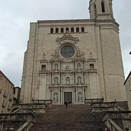 Palmitos * Calonge (Catalonia)