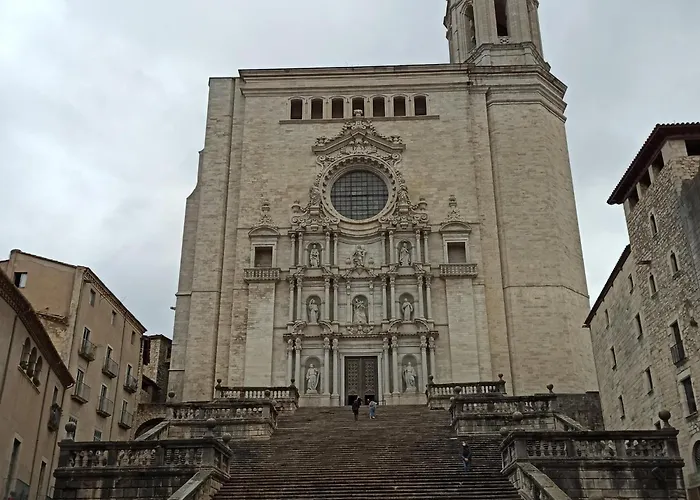 Palmitos * Calonge (Catalonia)